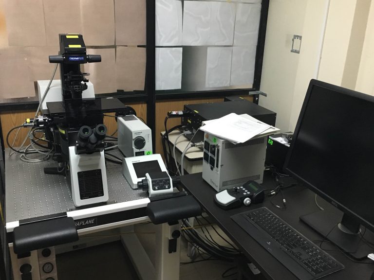 Confocal 768x576 1