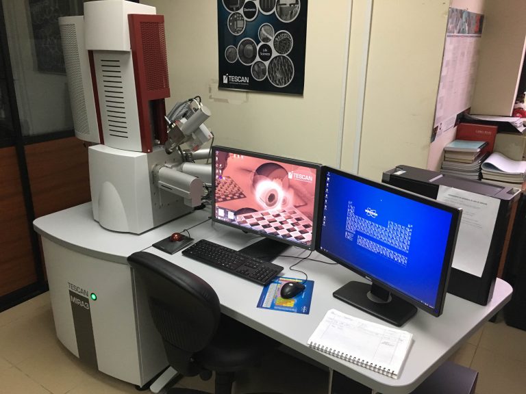 SEM 768x576 1